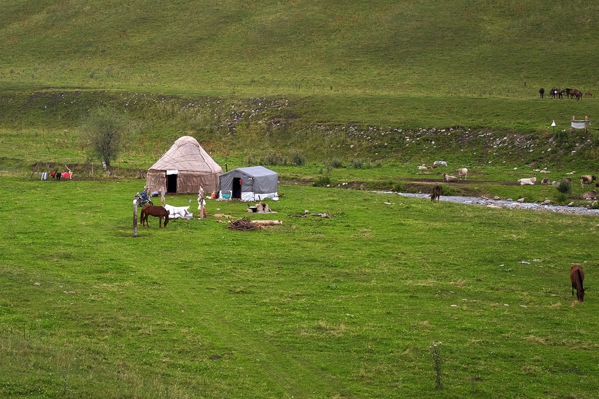傍晚阴雨中在那拉提的随拍