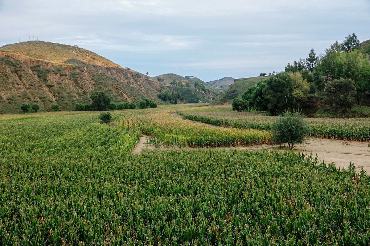 路过陕北之路上随拍