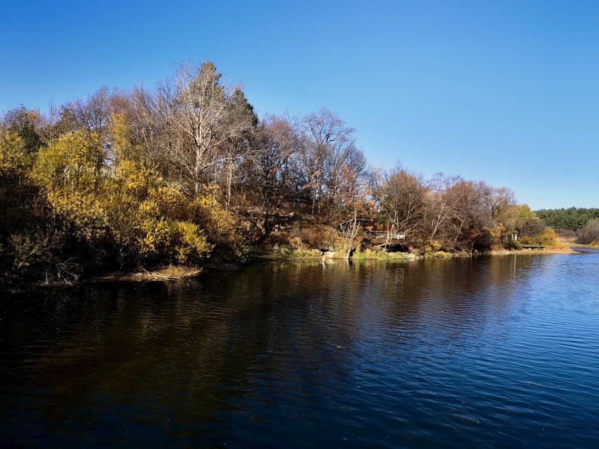 外出随拍（续237）.