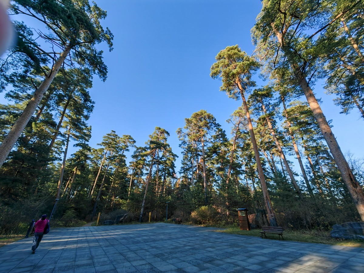 外出随拍（续237）.