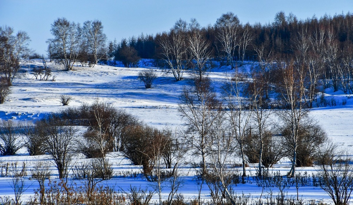 春节乌兰布统塞罕坝之行 及路上所见（四）