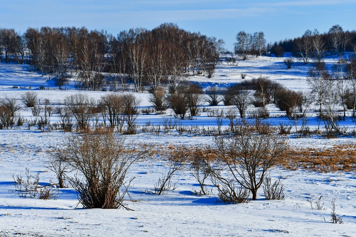 春节乌兰布统塞罕坝之行 及路上所见（四）