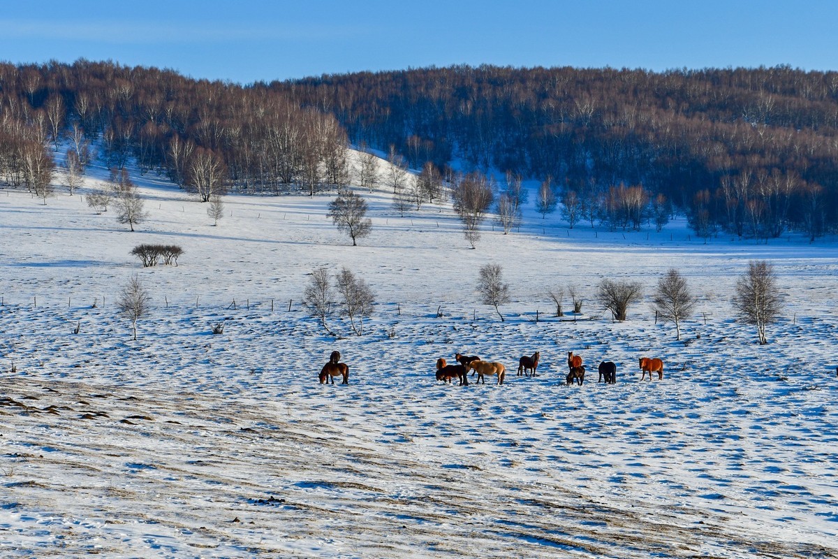 春节乌兰布统塞罕坝之行 及路上所见（四）