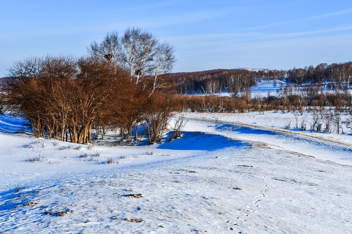 春节乌兰布统塞罕坝之行 及路上所见（四）