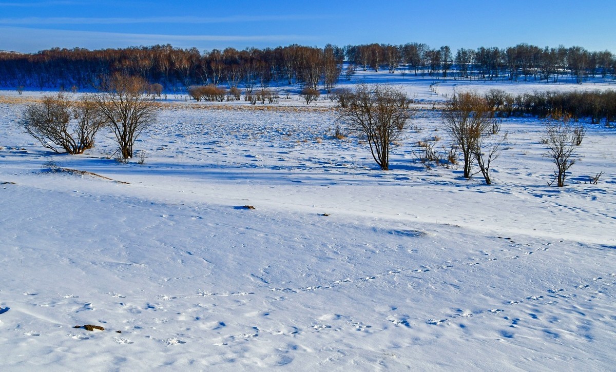 春节乌兰布统塞罕坝之行 及路上所见（四）