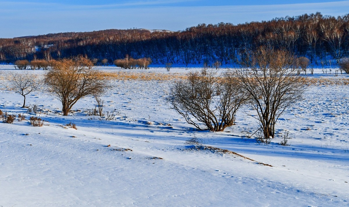 春节乌兰布统塞罕坝之行 及路上所见（四）