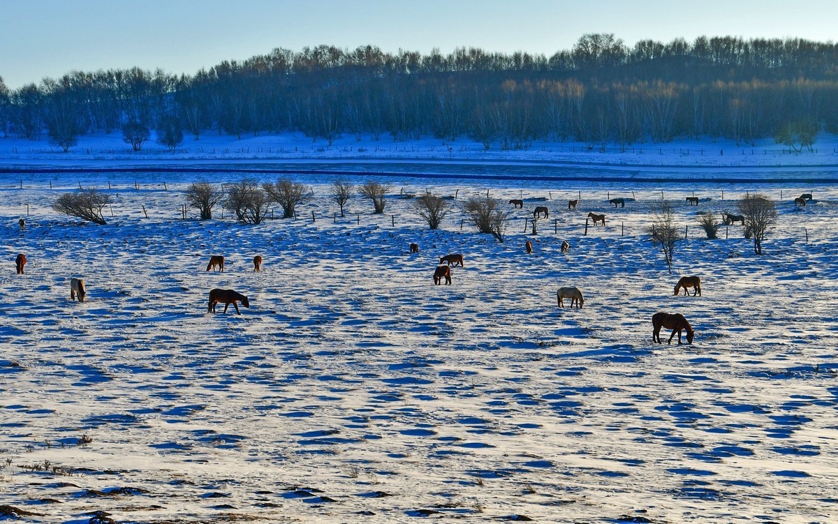 春节乌兰布统塞罕坝之行 及路上所见（四）