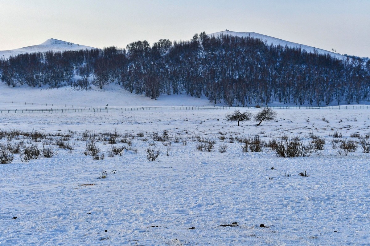 春节乌兰布统塞罕坝之行 及路上所见（四）