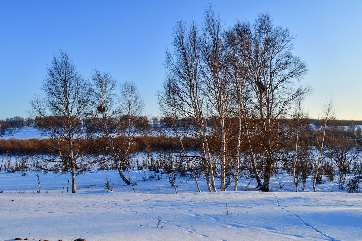 春节乌兰布统塞罕坝之行 及路上所见（四）