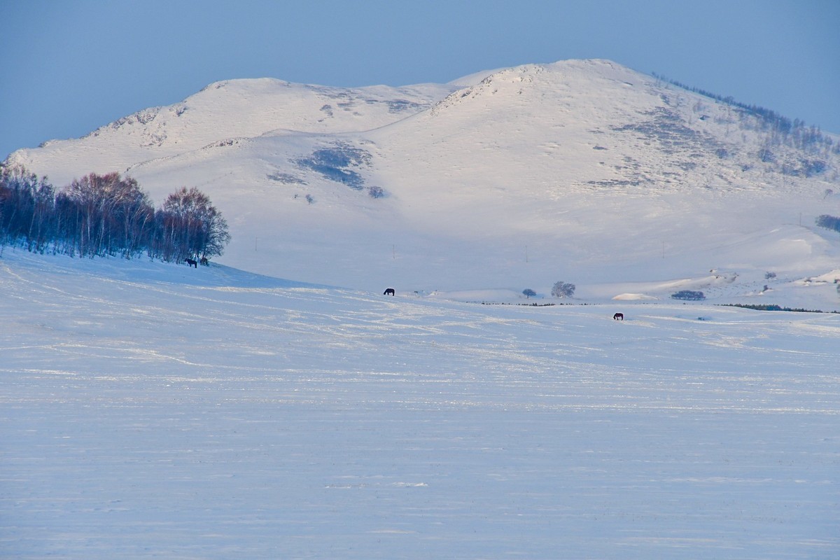 春节乌兰布统塞罕坝之行 及路上所见（四）