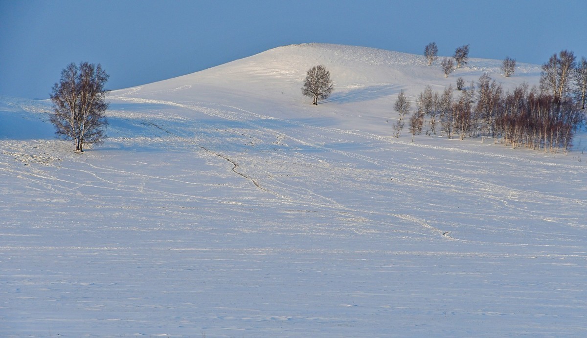 春节乌兰布统塞罕坝之行 及路上所见（四）