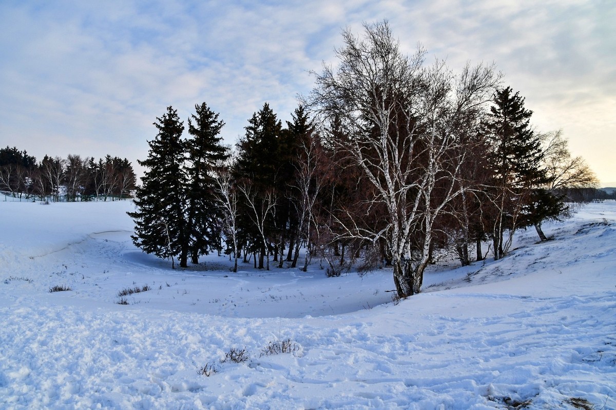 春节乌兰布统塞罕坝之行 及路上所见（四）