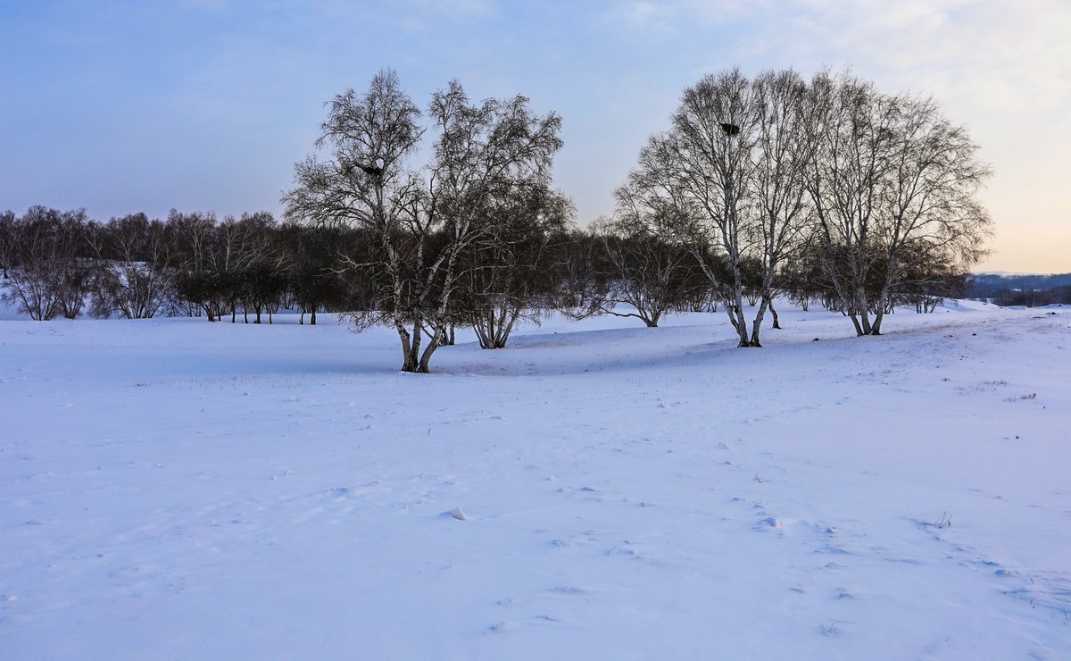 乌兰布统及路上随拍