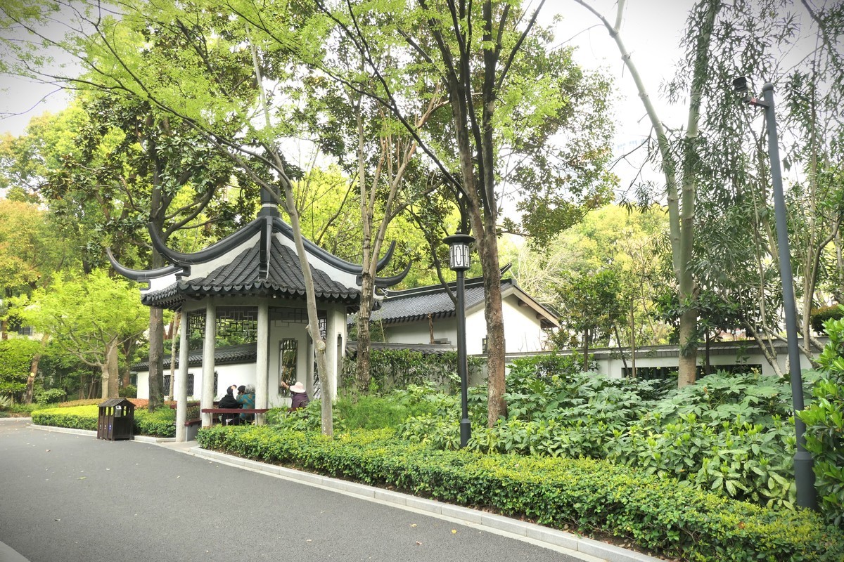 【上海东安公园风景】——摄于2025