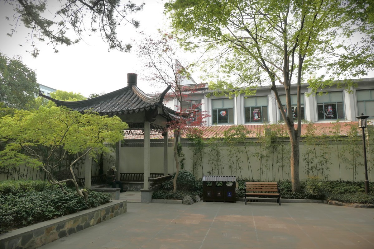 【上海东安公园风景】——摄于2025