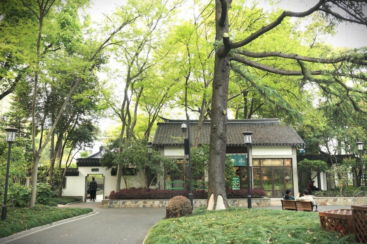 【上海东安公园风景】——摄于2025