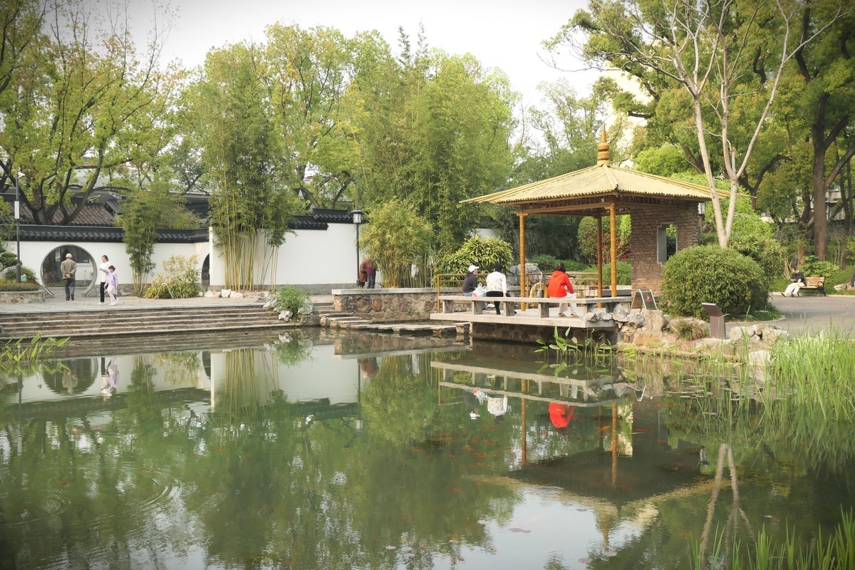 【上海东安公园风景】——摄于2025