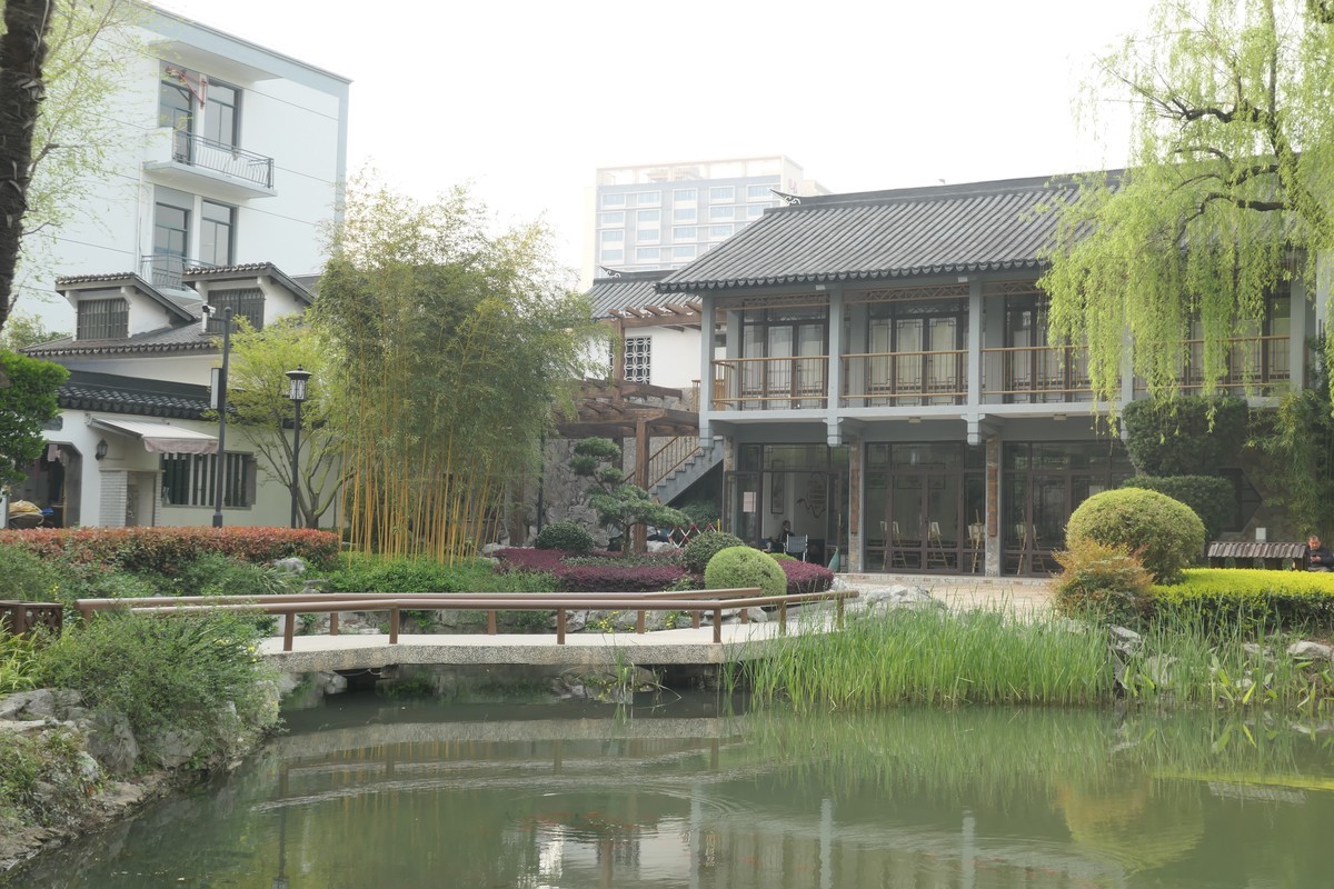 【上海东安公园风景】——摄于2025