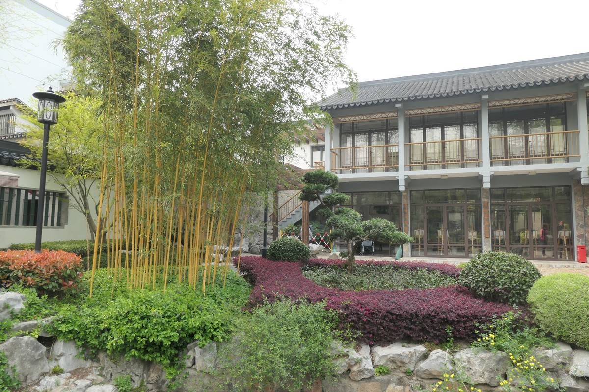 【上海东安公园风景】——摄于2025