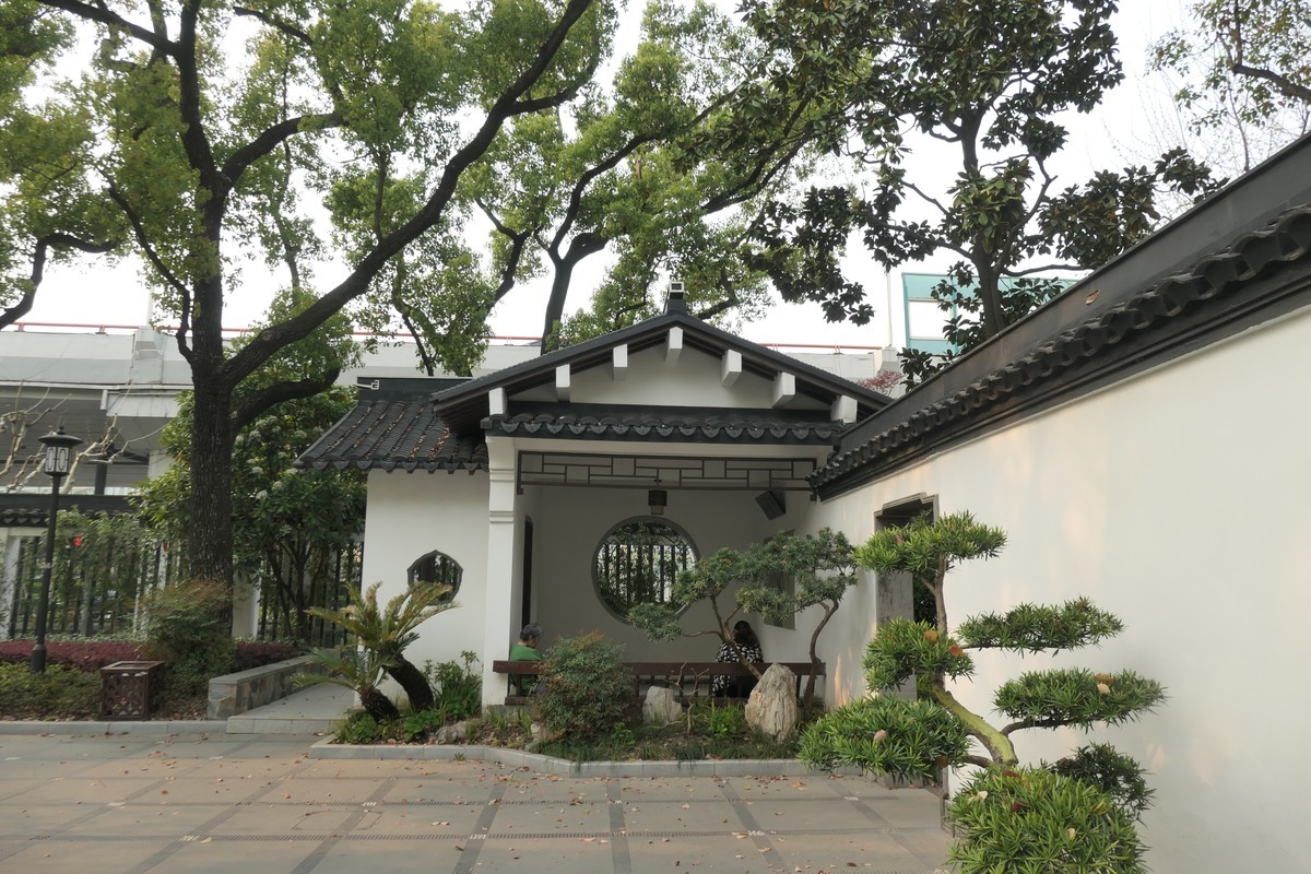 【上海东安公园风景】——摄于2025