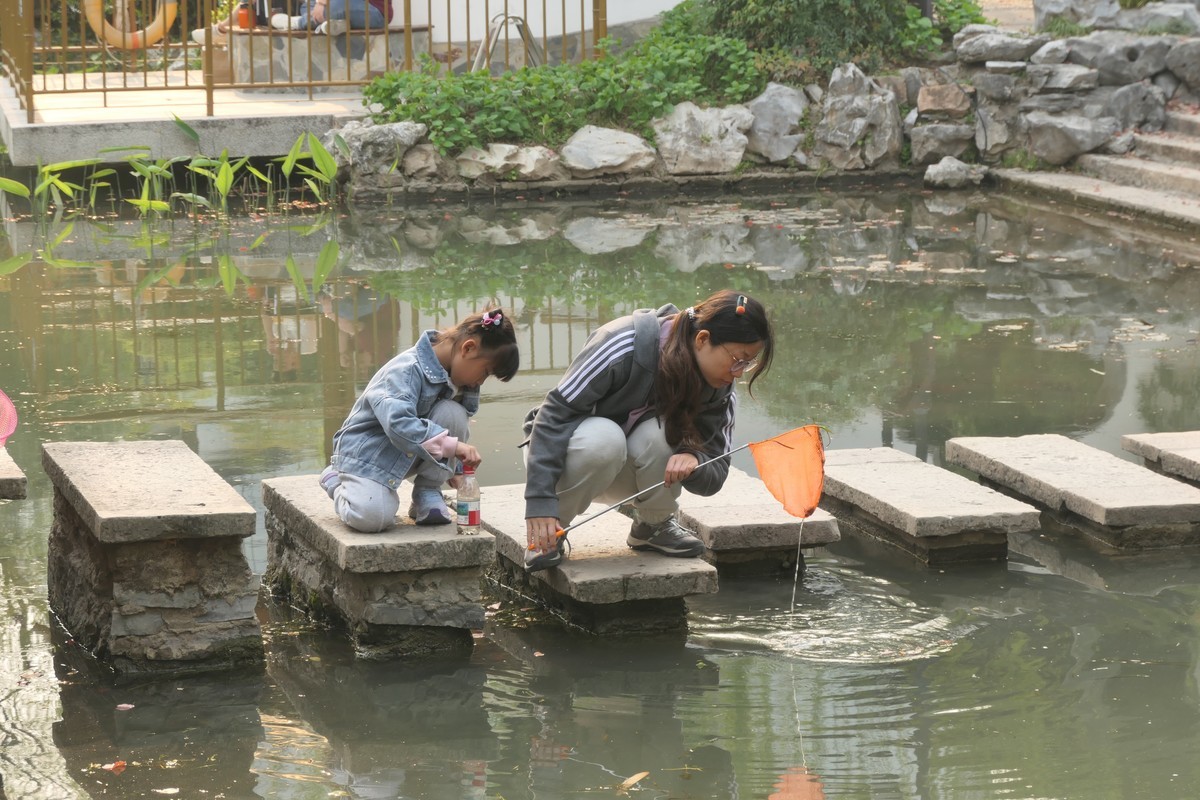 【上海东安公园风景】——摄于2025