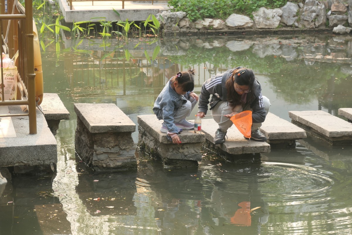 【上海东安公园风景】——摄于2025