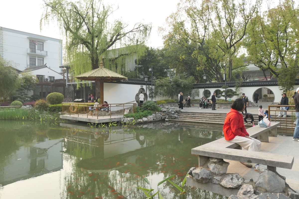 【上海东安公园风景】——摄于2025