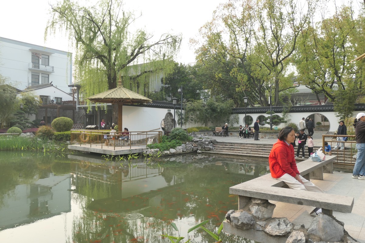 【上海东安公园风景】——摄于2025