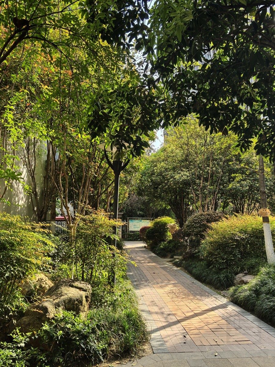 信步闲庭——武汉随笔