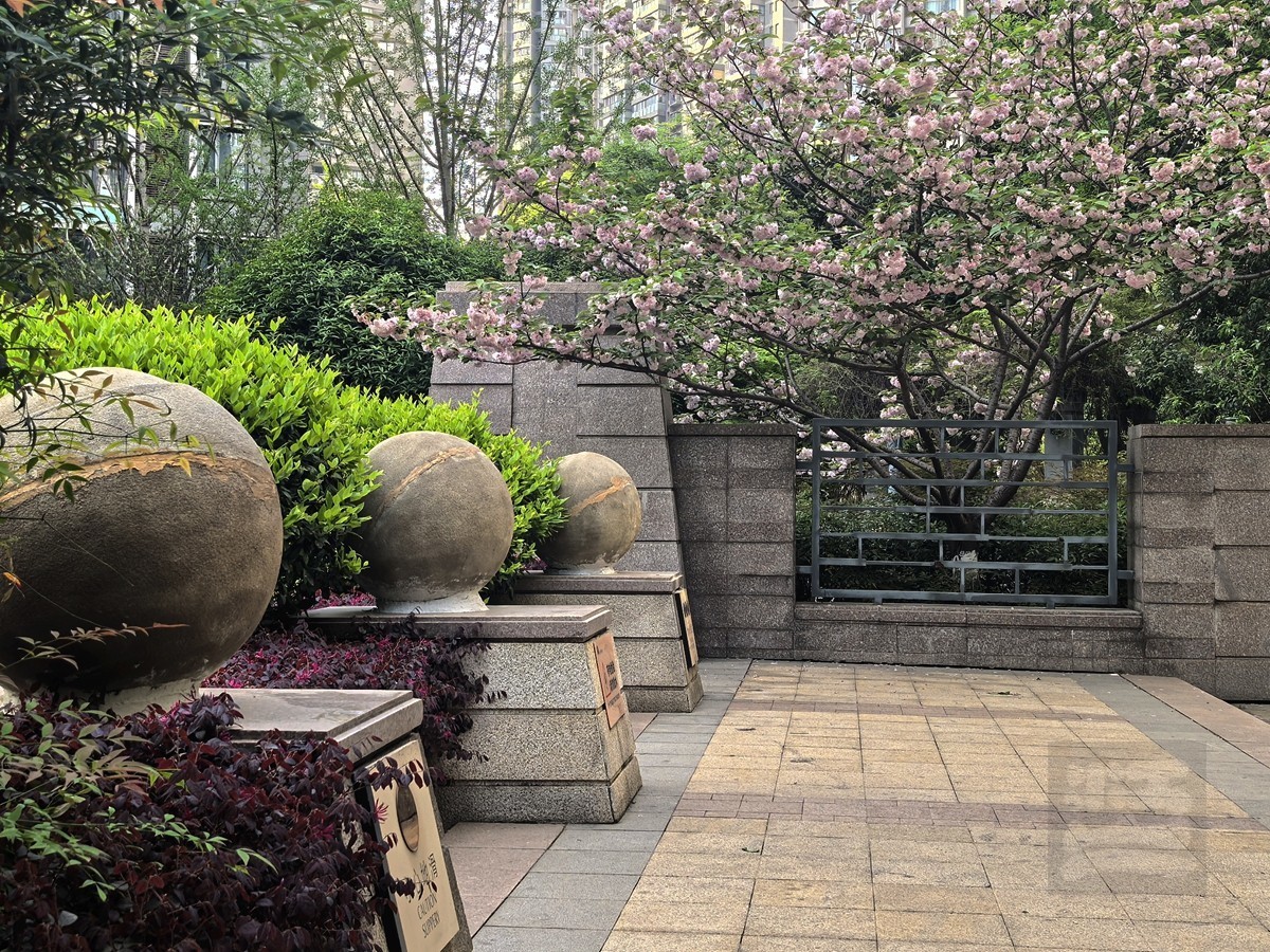 信步闲庭——武汉随笔