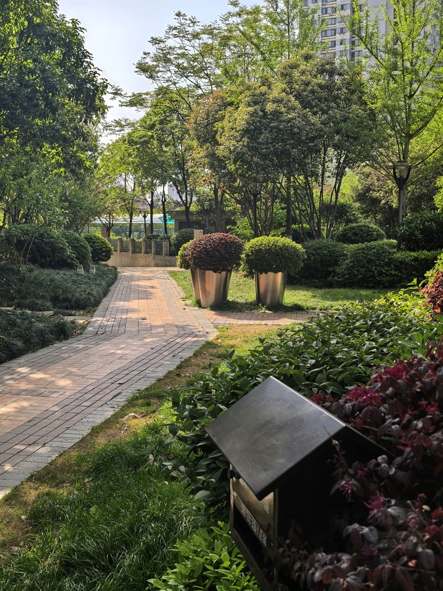 信步闲庭——武汉随笔