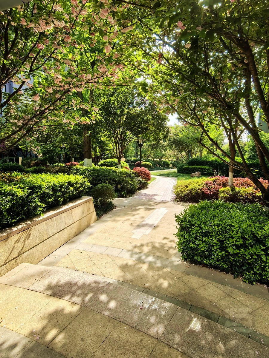 信步闲庭——武汉随笔