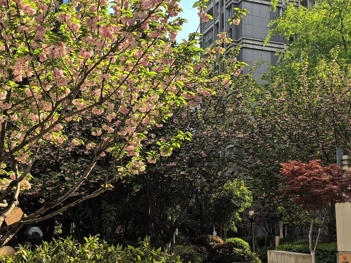 信步闲庭——武汉随笔