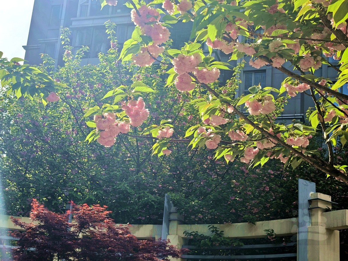 信步闲庭——武汉随笔