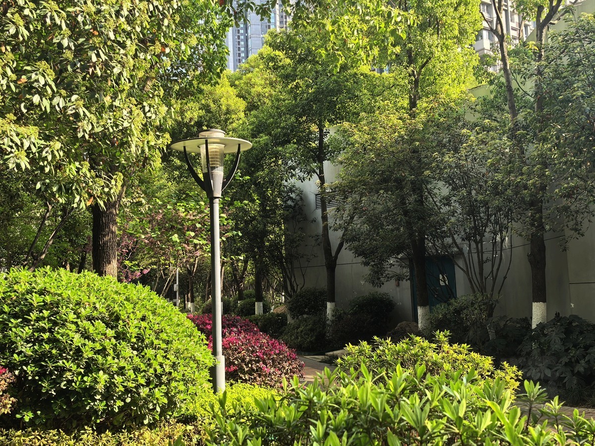 信步闲庭2——武汉随笔