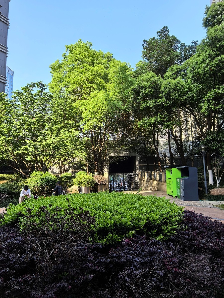 信步闲庭2——武汉随笔