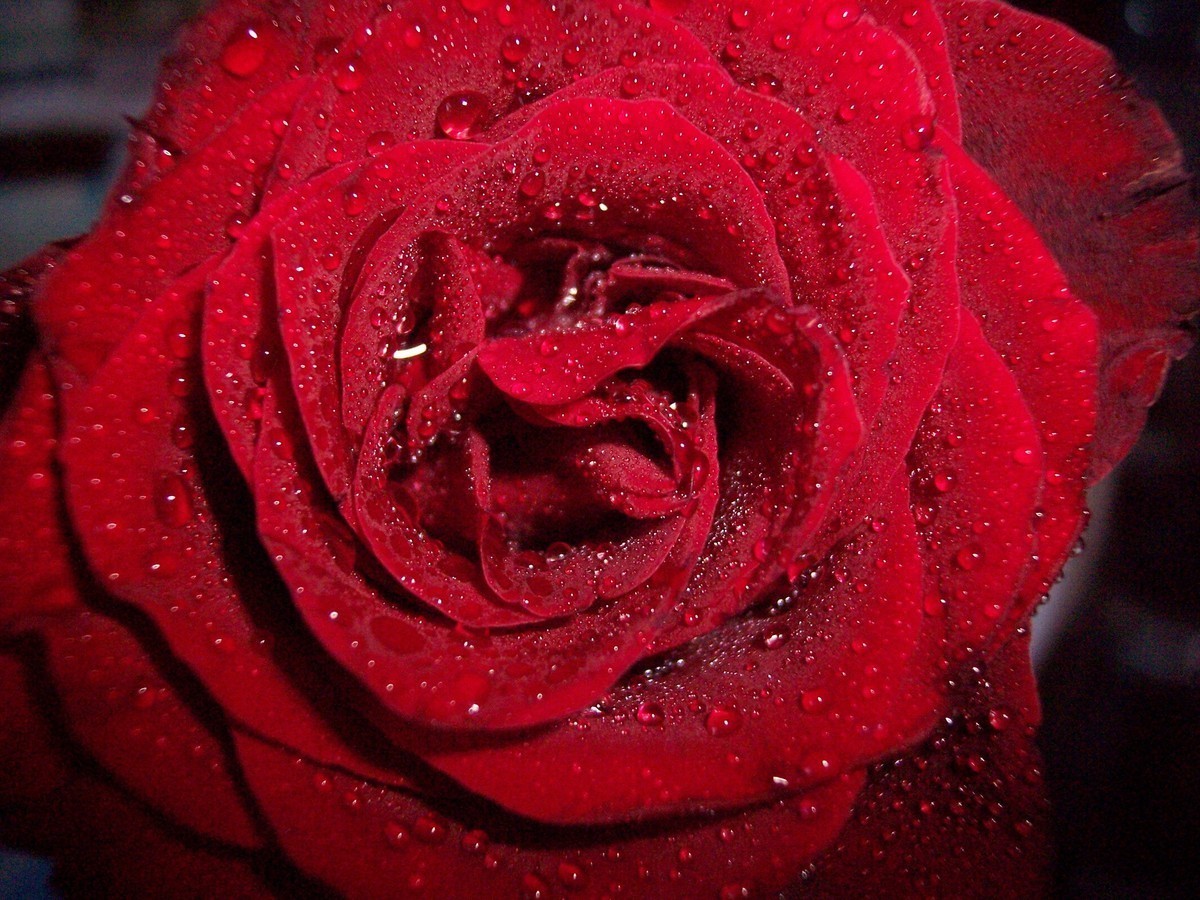 老机出掉了，留个纪念