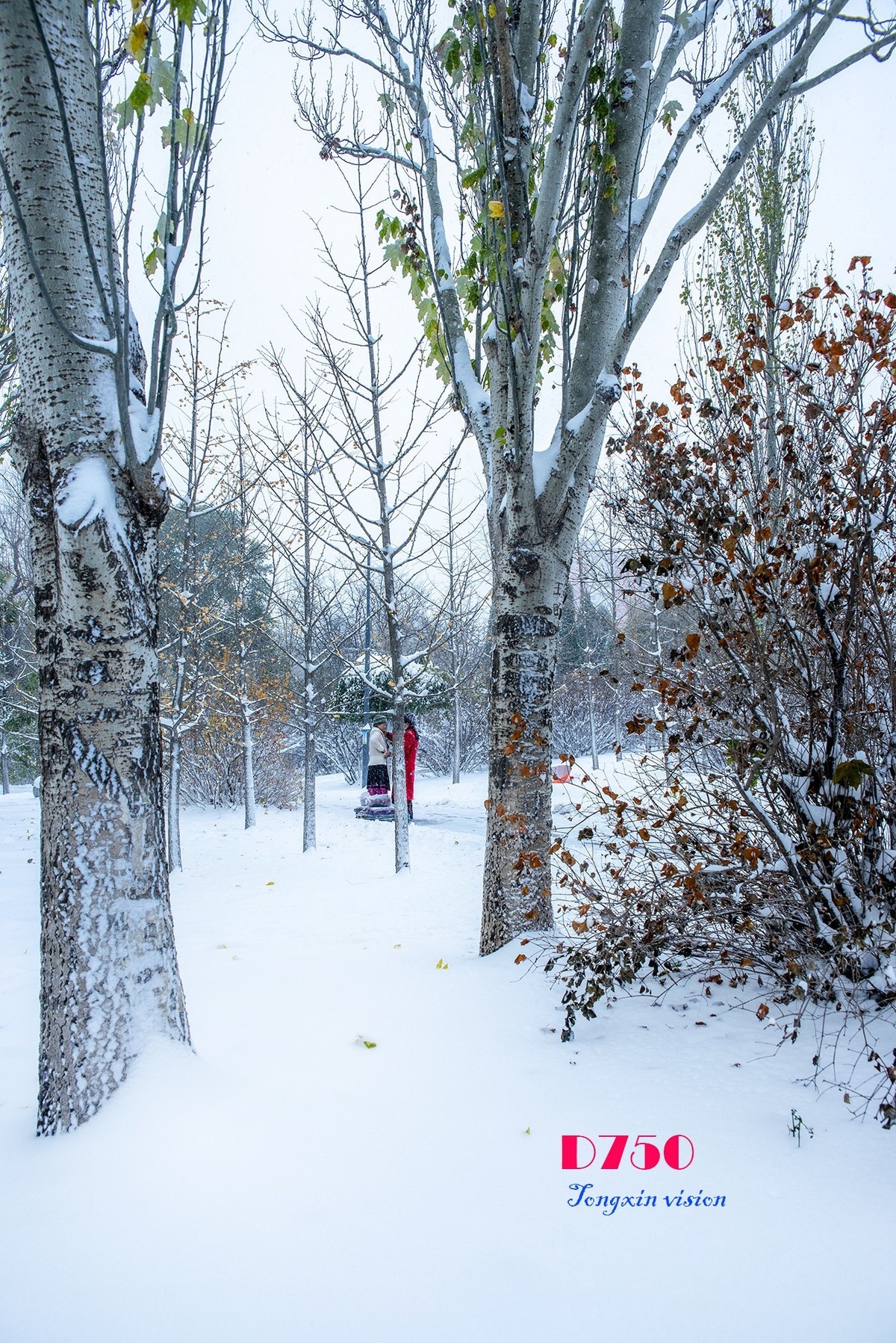 入冬塞北第一场雪（8）