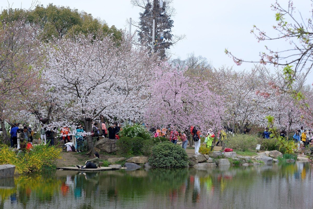 太湖春游