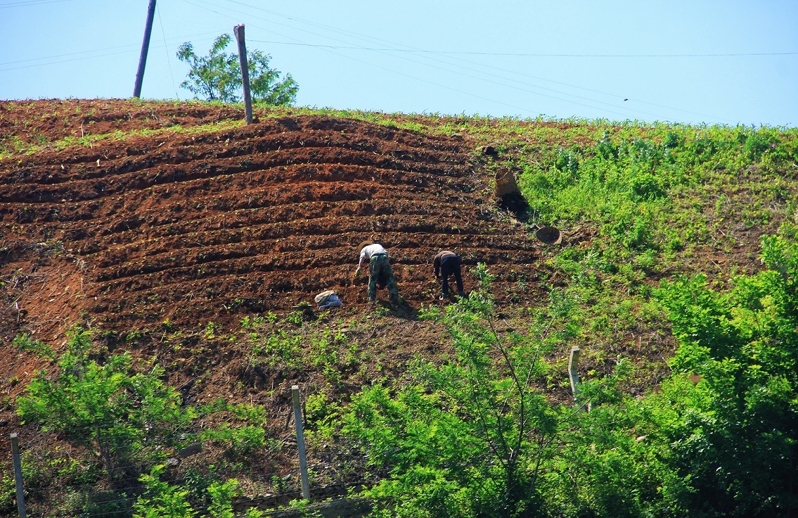 报到帖加纪录片《鸭绿江对岸的朝鲜景色》一般不容易见到，看一看图个新鲜！