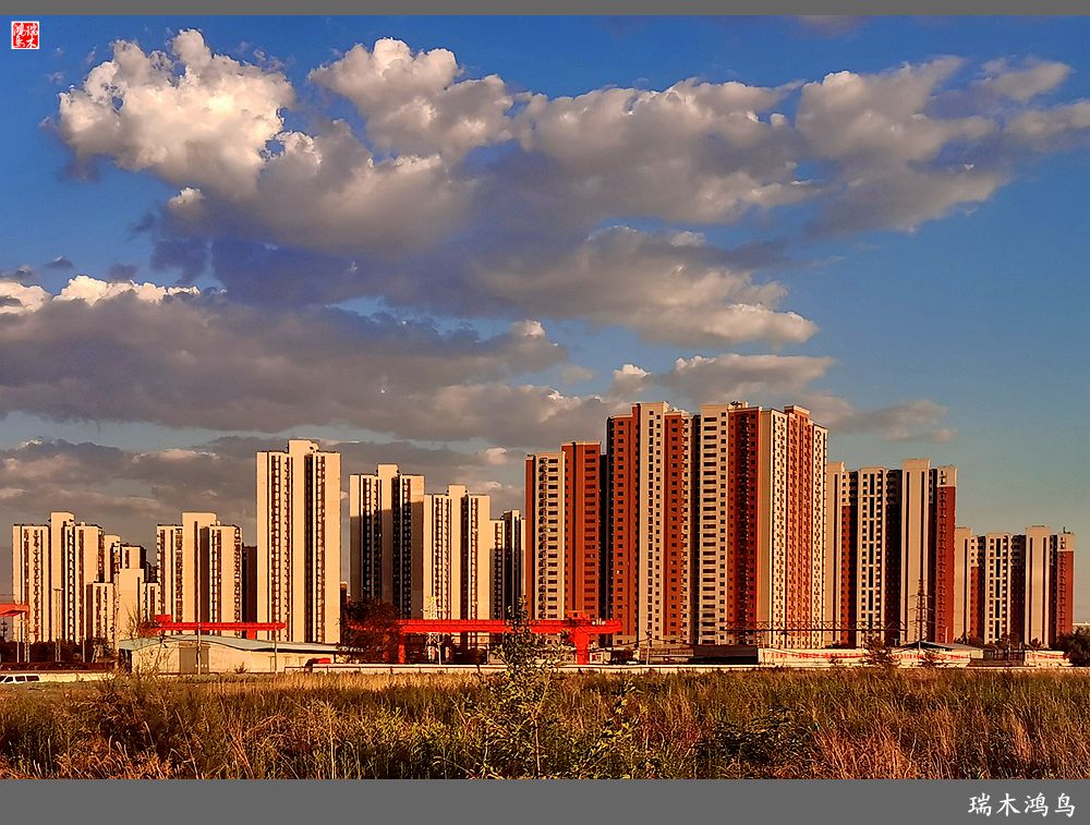 【手机随拍】保利社区——大约在冬季