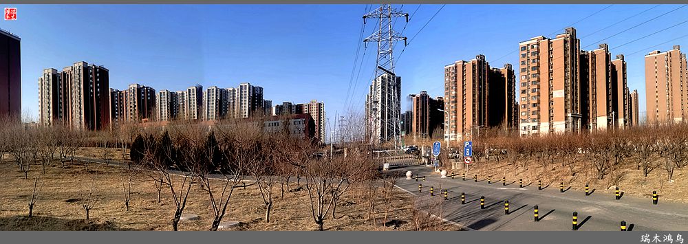 【手机随拍】保利社区——大约在冬季