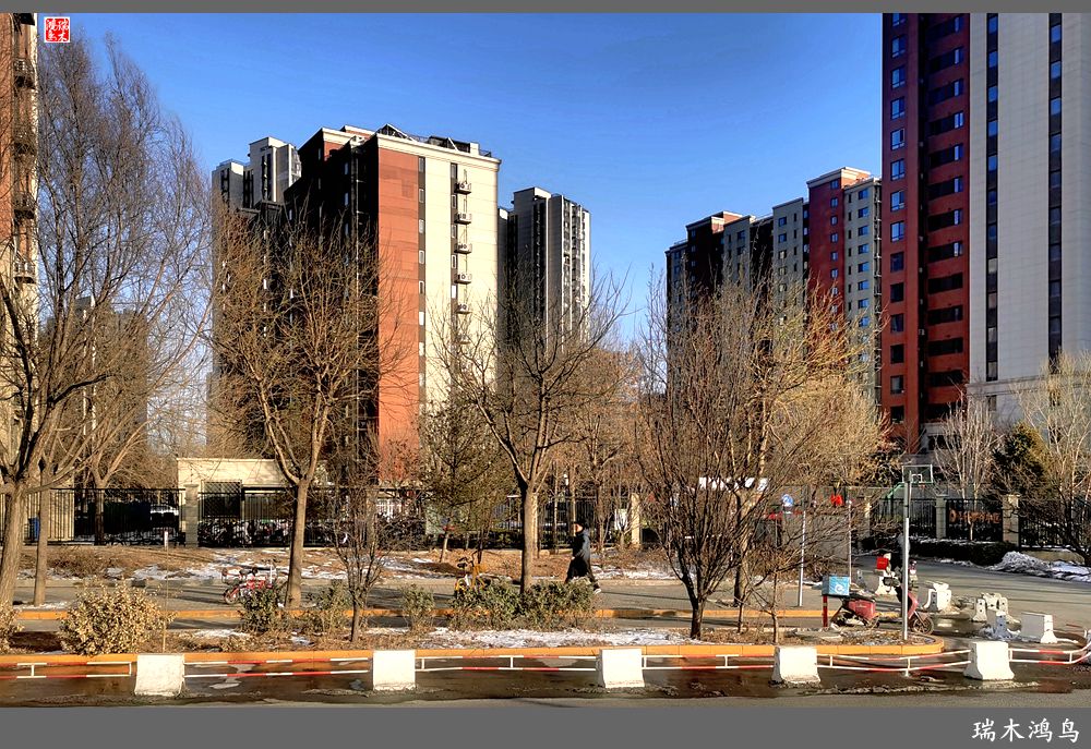 【手机随拍】保利社区——大约在冬季