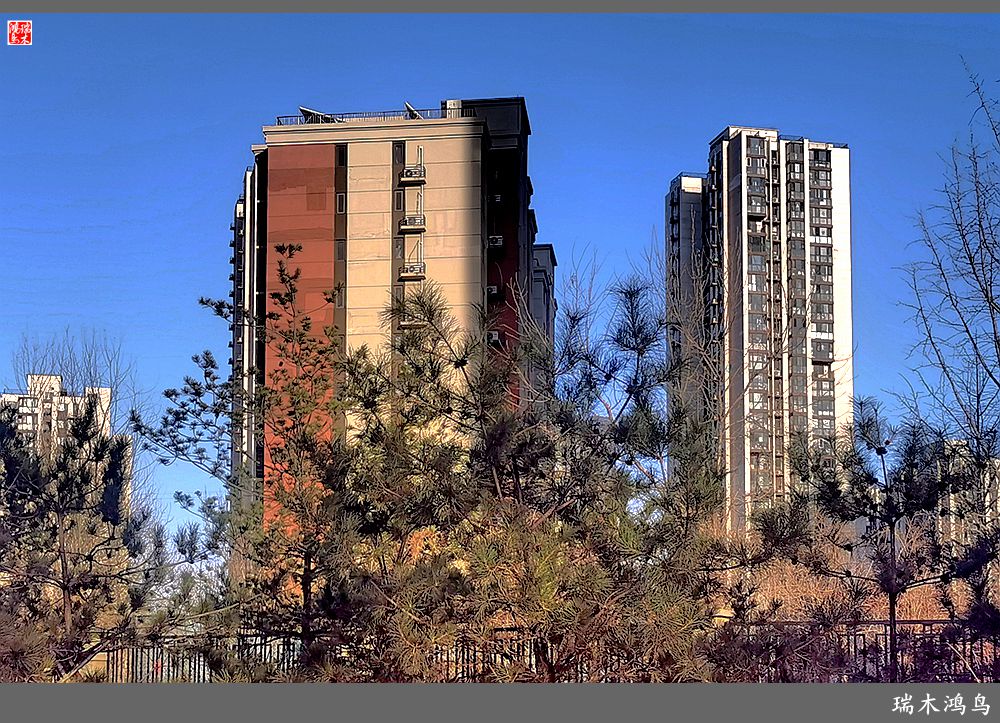 【手机随拍】保利社区——大约在冬季