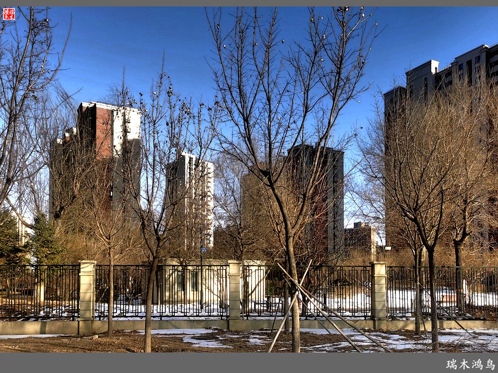 【手机随拍】保利社区——大约在冬季