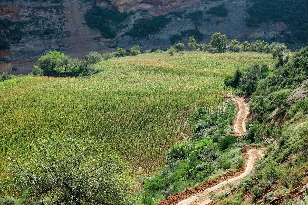 路过陕北之洛河峡谷随拍
