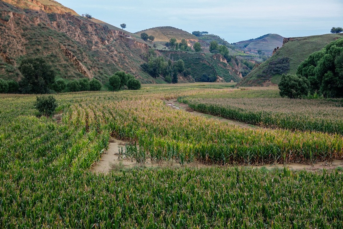 路过陕北之路上随拍
