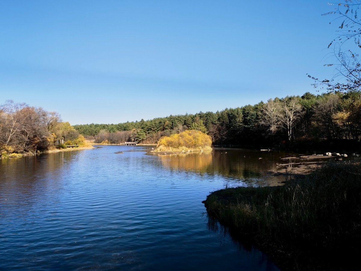 外出随拍（续237）.