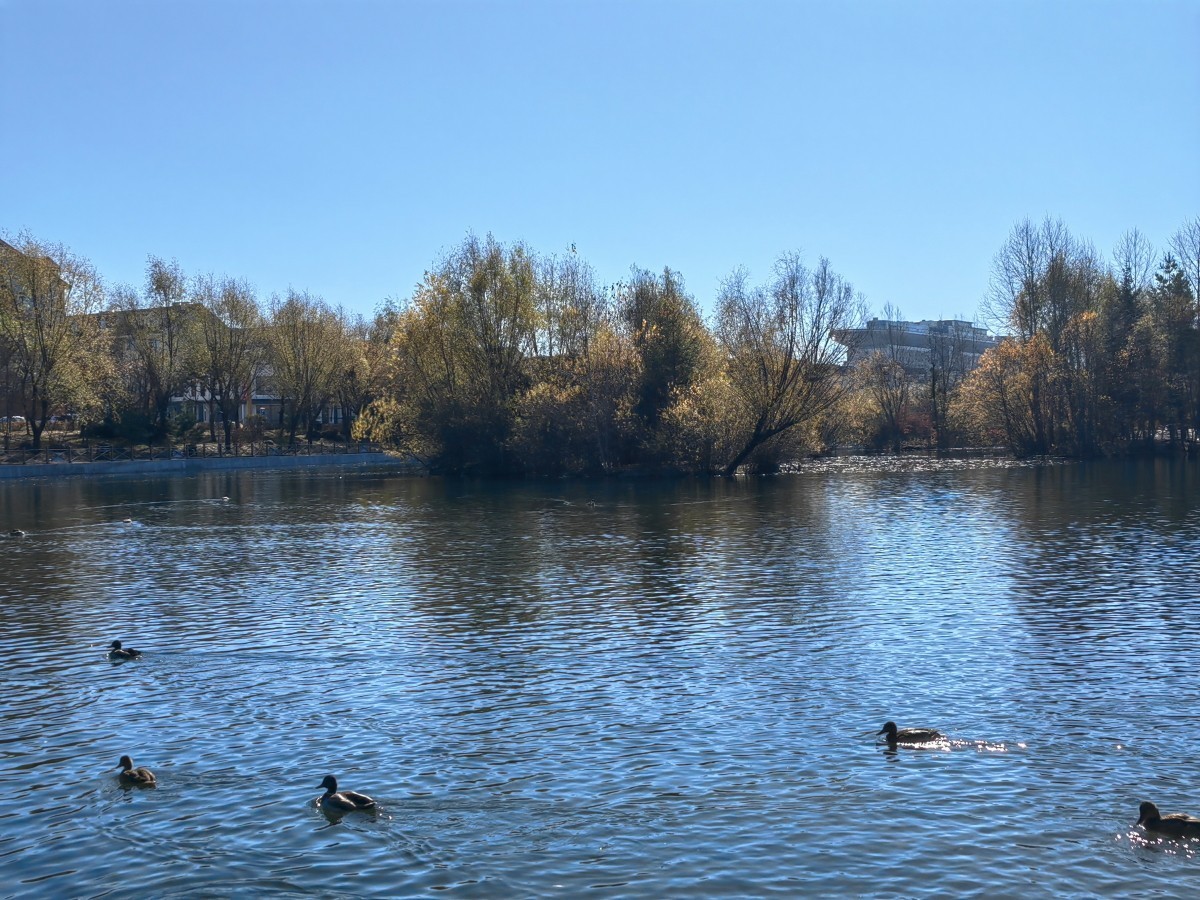 外出随拍（续237）.