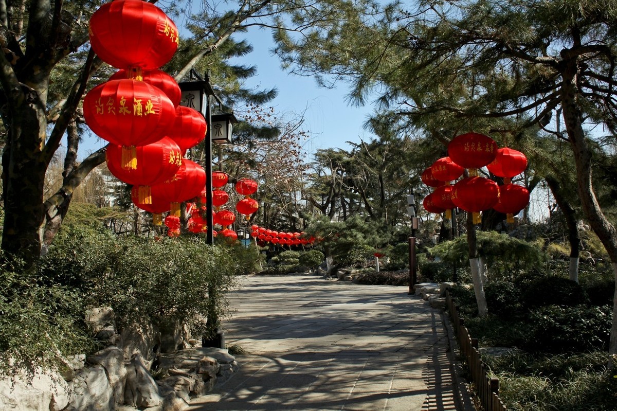 早春——趵突泉景色